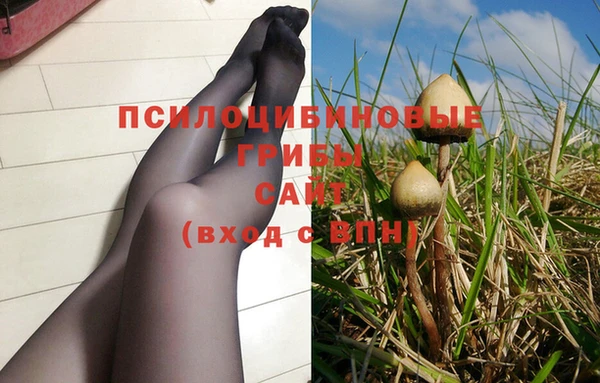 шишки Россошь