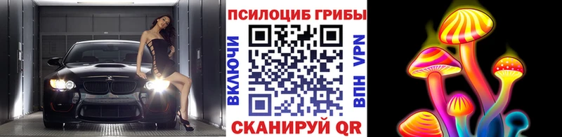 Псилоцибиновые грибы Psilocybine cubensis  закладки  Карталы 