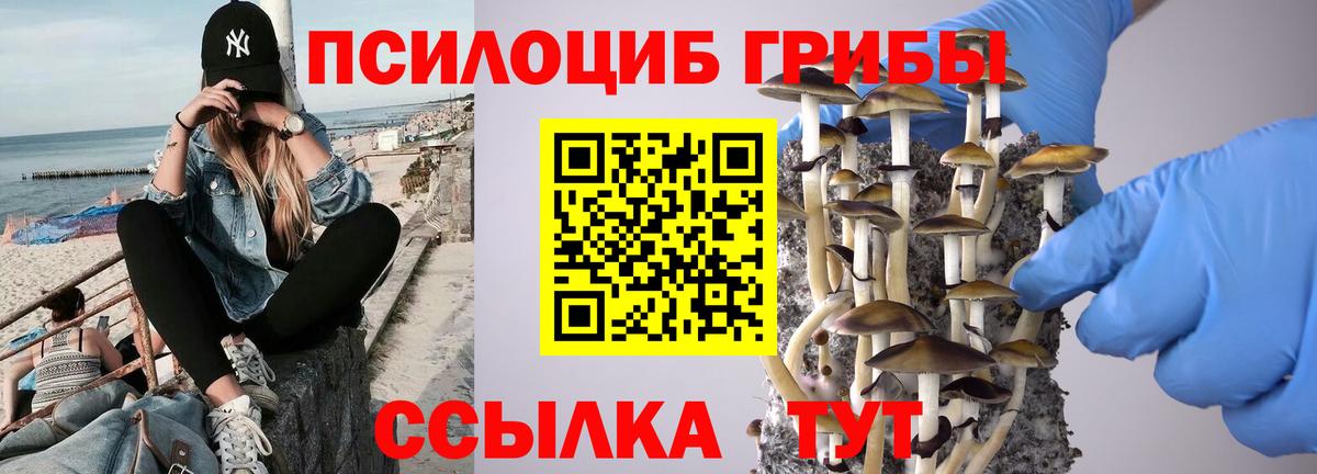 Псилоцибиновые грибы мухоморы  Вход с VPN  Галлюциногенные грибы Psilocybine cubensis  закладки  Карталы 